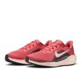 Женские кроссовки Nike Air Zoom Pegasus 41 - FD2723-801