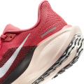 Женские кроссовки Nike Air Zoom Pegasus 41 - FD2723-801
