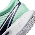 Женские кроссовки Nike Court Zoom Pro - DH0990-300