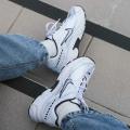 Женские кроссовки Nike Initiator - FQ6873-101