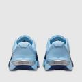 Женские кроссовки Nike Metcon 10 - HQ2620-400