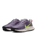 Женские кроссовки Nike Pegasus Trail 3 - DA8698-500
