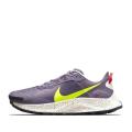 Женские кроссовки Nike Pegasus Trail 3 - DA8698-500