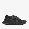 Женские кроссовки Nike Pegasus Trail 3 GTX - DC8794-001