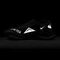 Женские кроссовки Nike Pegasus Trail 3 GTX - DC8794-001