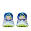 Женские кроссовки Nike Pegasus Trail 3 GTX - DC8794-400