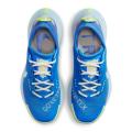 Женские кроссовки Nike Pegasus Trail 3 GTX - DC8794-400