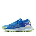 Женские кроссовки Nike Pegasus Trail 3 GTX - DC8794-400
