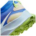 Женские кроссовки Nike Pegasus Trail 3 GTX - DC8794-400