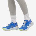 Женские кроссовки Nike Pegasus Trail 3 GTX - DC8794-400