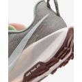 Женские кроссовки Nike Pegasus Trail 5 - DV3865-300