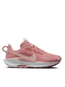 Женские кроссовки Nike Pegasus Trail 5 - DV3865-600