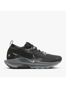 Женские кроссовки Nike Pegasus Trail 5 GTX - FQ0912-001