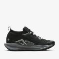 Женские кроссовки Nike Pegasus Trail 5 GTX - FQ0912-001