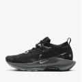 Женские кроссовки Nike Pegasus Trail 5 GTX - FQ0912-001