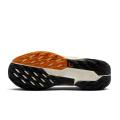 Женские кроссовки Nike Pegasus Trail 5 GTX - FQ0912-005