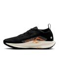 Женские кроссовки Nike Pegasus Trail 5 GTX - FQ0912-005