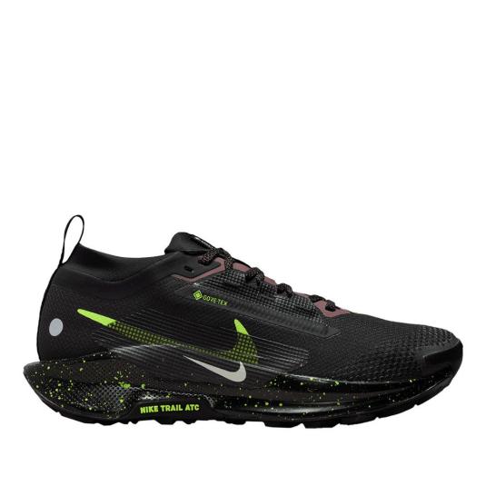 Женские кроссовки Nike Pegasus Trail 5 GTX - FQ0912-009