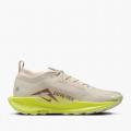 Женские кроссовки Nike Pegasus Trail 5 GTX - FQ0912-101