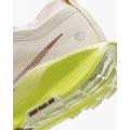 Женские кроссовки Nike Pegasus Trail 5 GTX - FQ0912-101