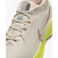 Женские кроссовки Nike Pegasus Trail 5 GTX - FQ0912-101