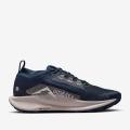 Женские кроссовки Nike Pegasus Trail 5 GTX - FQ0912-400