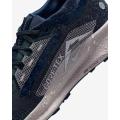 Женские кроссовки Nike Pegasus Trail 5 GTX - FQ0912-400