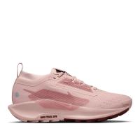 Женские кроссовки Nike Pegasus Trail 5 GTX - FQ0912-601