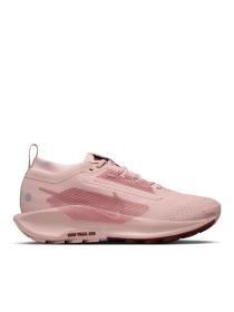 Женские кроссовки Nike Pegasus Trail 5 GTX - FQ0912-601