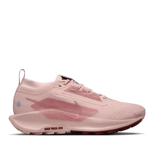 Женские кроссовки Nike Pegasus Trail 5 GTX - FQ0912-601