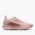 Женские кроссовки Nike Pegasus Trail 5 GTX - FQ0912-601
