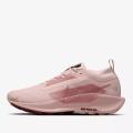 Женские кроссовки Nike Pegasus Trail 5 GTX - FQ0912-601