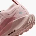 Женские кроссовки Nike Pegasus Trail 5 GTX - FQ0912-601