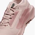 Женские кроссовки Nike Pegasus Trail 5 GTX - FQ0912-601