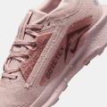 Женские кроссовки Nike Pegasus Trail 5 GTX - FQ0912-601