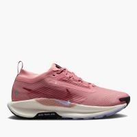 Женские кроссовки Nike Pegasus Trail 5 GTX - FQ0912-602