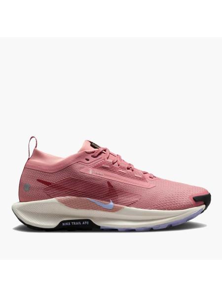 Женские кроссовки Nike Pegasus Trail 5 GTX - FQ0912-602