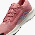 Женские кроссовки Nike Pegasus Trail 5 GTX - FQ0912-602