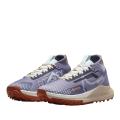 Женские кроссовки Nike React Pegasus Trail 4 GTX - DJ7929-502
