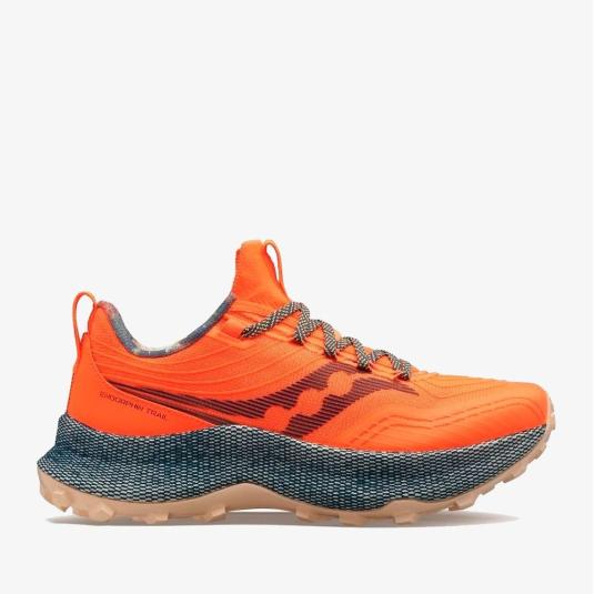 Женские кроссовки Saucony Endorphin Trail - S10647-65