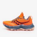 Женские кроссовки Saucony Endorphin Trail - S10647-65