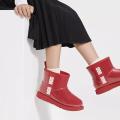 Женские сапоги UGG Classic Clear Mini - 1113190-SBR